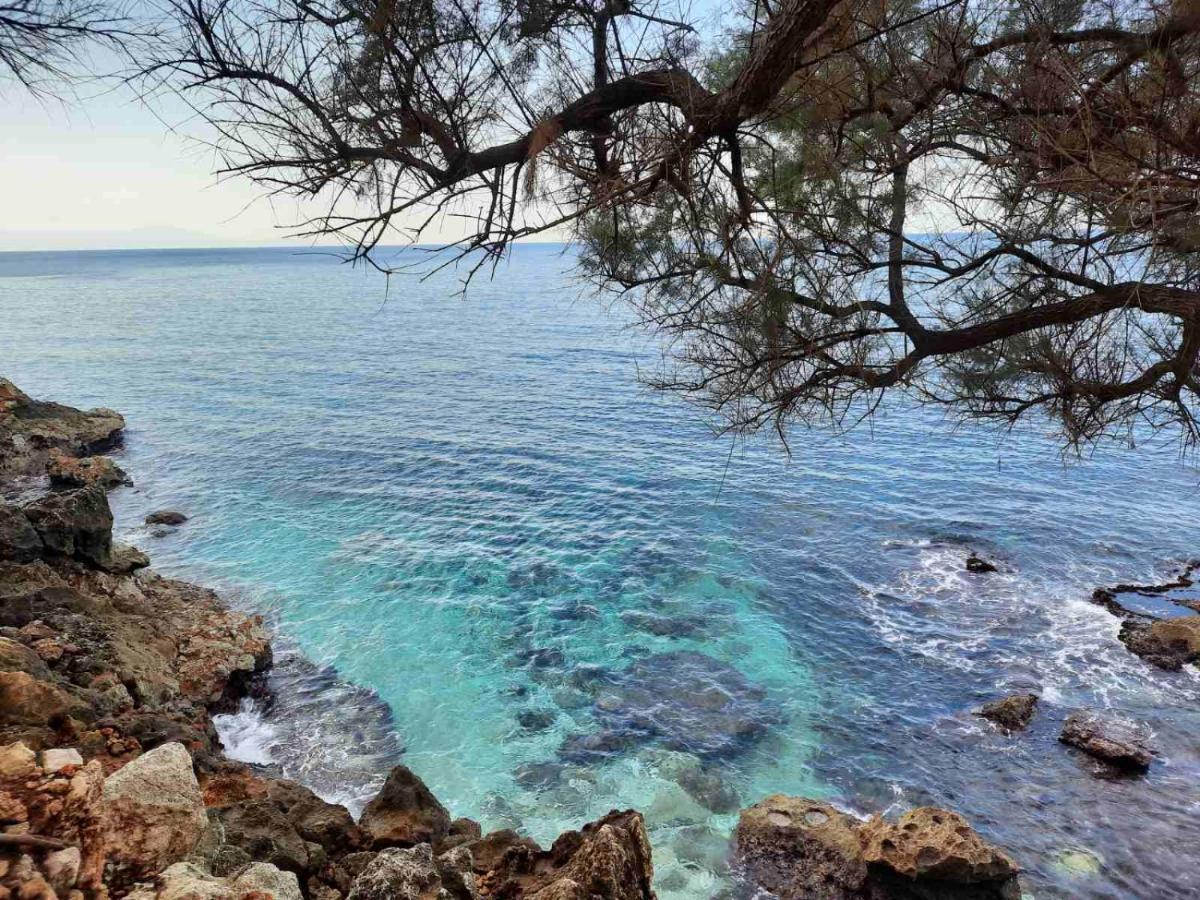 חאניה New Sea Escape Boutique Apt-Agii Aposto Li Beach מראה חיצוני תמונה