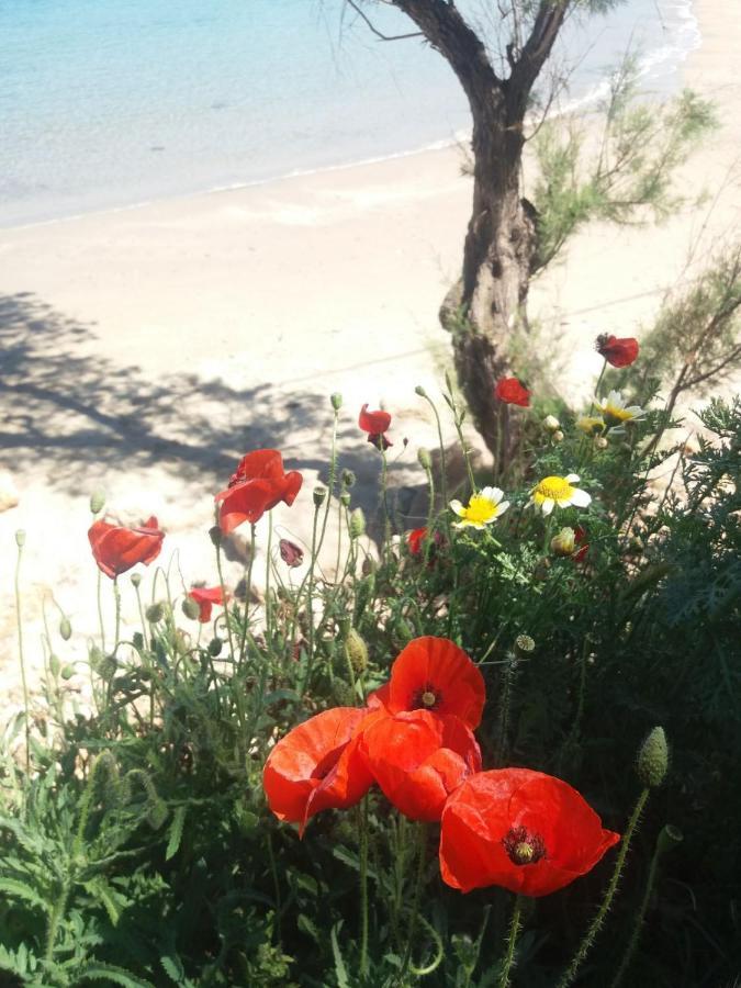 חאניה New Sea Escape Boutique Apt-Agii Aposto Li Beach מראה חיצוני תמונה